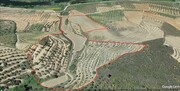 Terreno R�stico T0 - N�o Definido, Mirandela, Bragan�a - Miniatura: 10/17