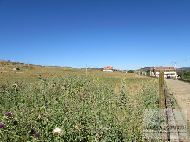 Terreno Rstico T0 - Carvalhais, Mirandela, Bragana - Imagem grande