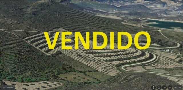 Terreno Rústico T0 - Frechas, Mirandela, Bragança - Imagem grande