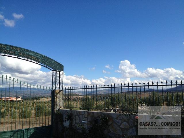 Quinta T5 - Mirandela, Mirandela, Bragana - Imagem grande