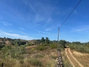 Terreno Rstico T0 - Mirandela, Mirandela, Bragana