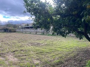 Moradia - Mirandela, Mirandela, Bragana - Miniatura: 10/19