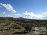 Quinta T5 - Mirandela, Mirandela, Bragana - Miniatura: 14/19