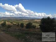 Quinta T5 - Mirandela, Mirandela, Bragan�a - Miniatura: 3/19