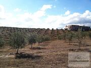 Quinta T5 - Mirandela, Mirandela, Bragan�a - Miniatura: 9/19