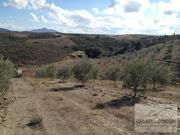 Quinta T5 - Mirandela, Mirandela, Bragan�a - Miniatura: 10/19