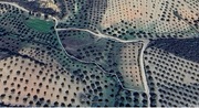 Terreno R�stico T0 - Vale Gouvinhas, Mirandela, Bragan�a - Miniatura: 2/2