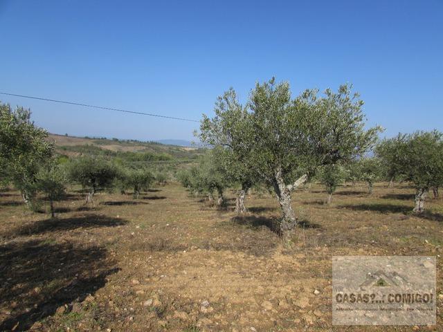 Terreno R�stico T0 - Bou�a, Mirandela, Bragan�a - Imagem grande