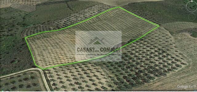 Terreno Rstico T0 - TRINDADE, Vila Flor, Bragana - Imagem grande