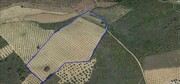 Terreno R�stico T0 - Vila Flor, Vila Flor, Bragan�a