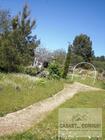 Terreno Rstico T0 - Valpaos, Valpaos, Vila Real - Miniatura: 8/8