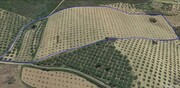 Terreno Rstico T0 - Vila Flor, Vila Flor, Bragana - Miniatura: 3/3