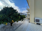 Moradia T5 - Mirandela, Mirandela, Bragana - Miniatura: 17/17