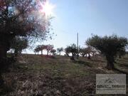 Terreno R�stico T0 - Bou�a, Mirandela, Bragan�a - Miniatura: 3/8