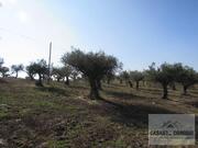 Terreno R�stico T0 - Bou�a, Mirandela, Bragan�a - Miniatura: 4/8