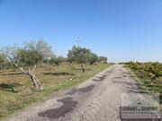 Terreno R�stico T0 - Bou�a, Mirandela, Bragan�a - Miniatura: 5/8