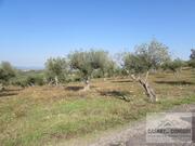 Terreno R�stico T0 - Bou�a, Mirandela, Bragan�a - Miniatura: 6/8