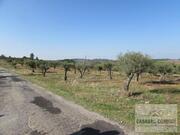 Terreno R�stico T0 - Bou�a, Mirandela, Bragan�a - Miniatura: 7/8