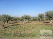Terreno R�stico T0 - Bou�a, Mirandela, Bragan�a - Miniatura: 8/8