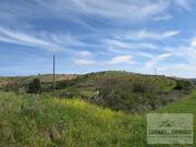 Terreno Urbano T0 - Mirandela, Mirandela, Bragan�a - Miniatura: 1/7