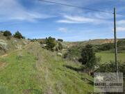 Terreno Urbano T0 - Mirandela, Mirandela, Bragan�a - Miniatura: 3/7