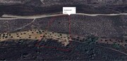 Terreno R�stico T0 - Abreiro, Mirandela, Bragan�a - Miniatura: 2/6