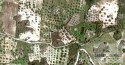 Terreno R�stico T0 - Valpa�os, Valpa�os, Vila Real - Miniatura: 6/8