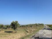 Terreno R�stico T0 - Bou�a, Mirandela, Bragan�a - Miniatura: 1/8