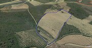 Terreno R�stico T0 - Vila Flor, Vila Flor, Bragan�a - Miniatura: 2/3