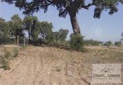 Terreno Rstico T0 - Sues, Mirandela, Bragana - Miniatura: 8/10
