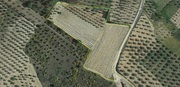 Terreno Rstico T0 - Vale Gouvinhas, Mirandela, Bragana - Miniatura: 1/5