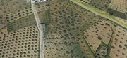Terreno Rstico T0 - Vale Gouvinhas, Mirandela, Bragana - Miniatura: 3/5