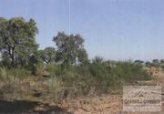 Terreno R�stico T0 - Su��es, Mirandela, Bragan�a - Miniatura: 3/10