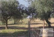Terreno R�stico T0 - Su��es, Mirandela, Bragan�a - Miniatura: 5/10
