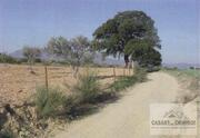 Terreno R�stico T0 - Su��es, Mirandela, Bragan�a - Miniatura: 6/10