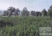 Terreno R�stico T0 - Su��es, Mirandela, Bragan�a - Miniatura: 7/10