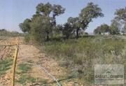 Terreno R�stico T0 - Su��es, Mirandela, Bragan�a - Miniatura: 9/10