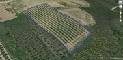 Terreno R�stico T0 - Vila Flor, Vila Flor, Bragan�a - Miniatura: 2/2