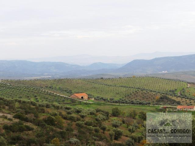 Terreno Rstico T0 - Vale Gouvinhas, Mirandela, Bragana - Imagem grande