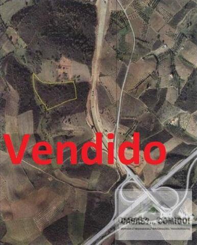 Terreno Rstico T0 - Sues, Mirandela, Bragana - Imagem grande