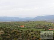 Terreno R�stico T0 - Vale Gouvinhas, Mirandela, Bragan�a