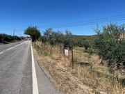 Terreno Rstico T0 - Mirandela, Mirandela, Bragana