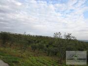 Terreno Rstico T0 - Vale Gouvinhas, Mirandela, Bragana - Miniatura: 8/15