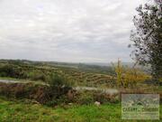 Terreno Rstico T0 - Vale Gouvinhas, Mirandela, Bragana - Miniatura: 9/15