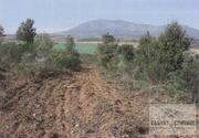 Terreno Rstico T0 - Sues, Mirandela, Bragana - Miniatura: 2/7