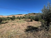 Terreno Rstico T0 - Mirandela, Mirandela, Bragana - Miniatura: 5/7