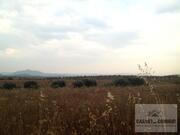 Terreno R�stico T0 - Passos, Mirandela, Bragan�a - Miniatura: 1/1