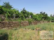 Moradia T5 - N�o Definido, Vila Flor, Bragan�a - Miniatura: 1/19