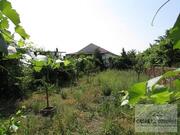 Moradia T5 - N�o Definido, Vila Flor, Bragan�a - Miniatura: 3/19