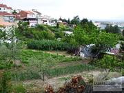 Terreno Urbano T0 - Mirandela, Mirandela, Bragan�a - Miniatura: 2/5